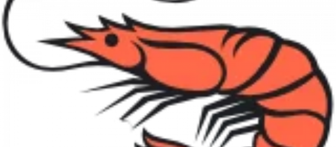 cropped-stavernskalldyrfavikon.png